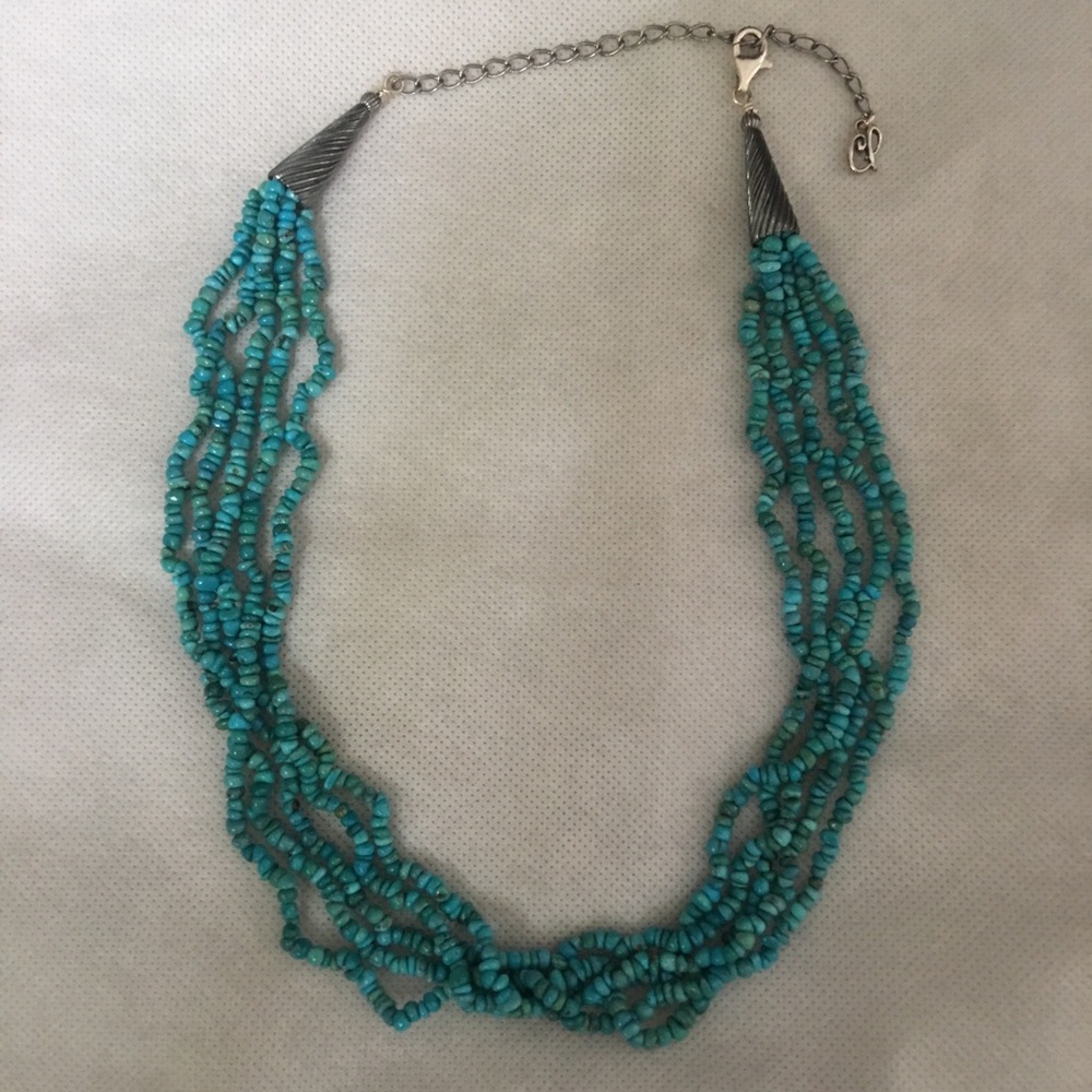 Carolyn Pollack Turquoise Torsade Necklace